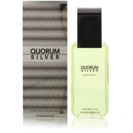 Quorum Silver 100 Ml Eau De Toilette Spr...-PerfumeriaparaTodos-Belleza y Cuidado Personal